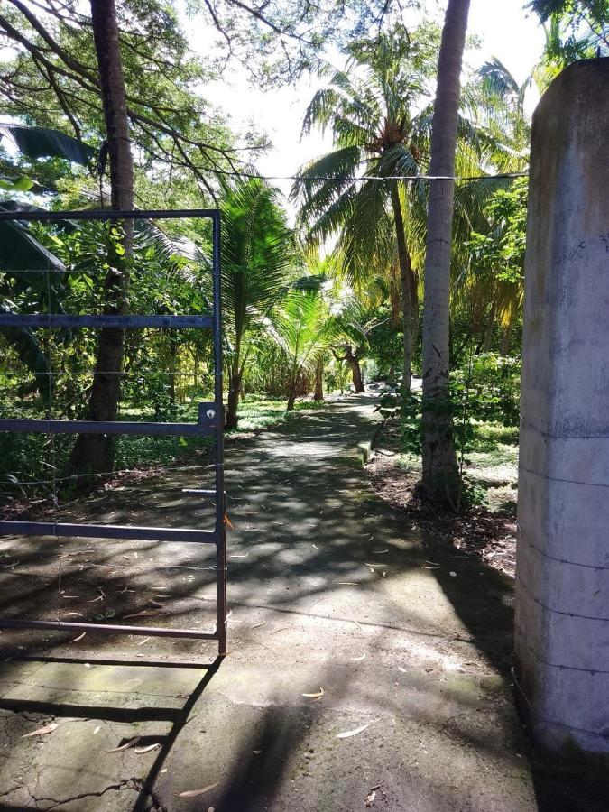 A Pousada Rancho Tranquillo Moyogalpa Exterior foto