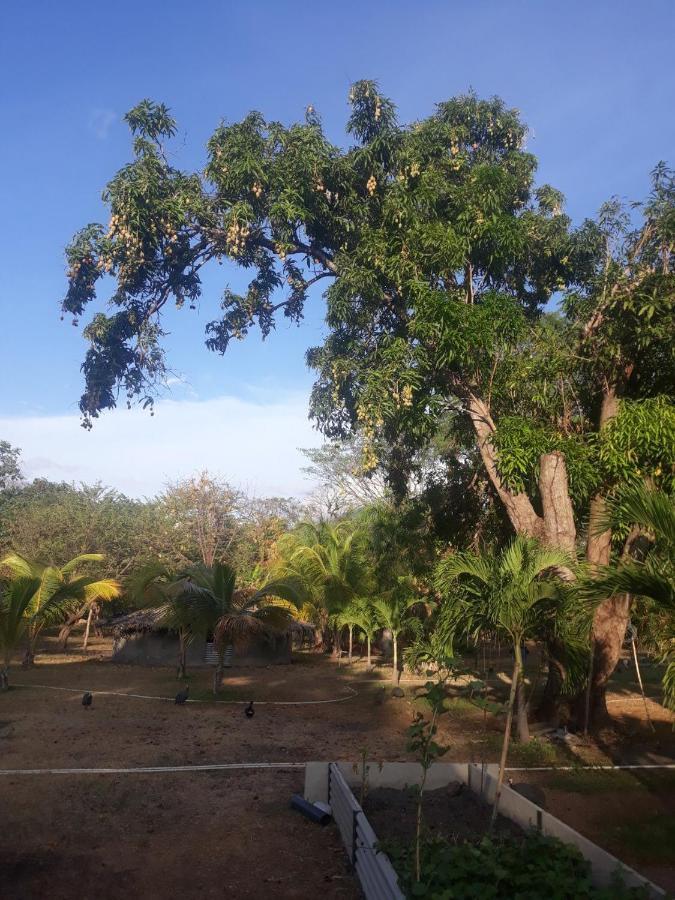 A Pousada Rancho Tranquillo Moyogalpa Exterior foto