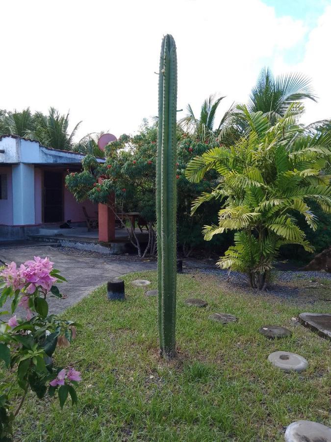 A Pousada Rancho Tranquillo Moyogalpa Exterior foto