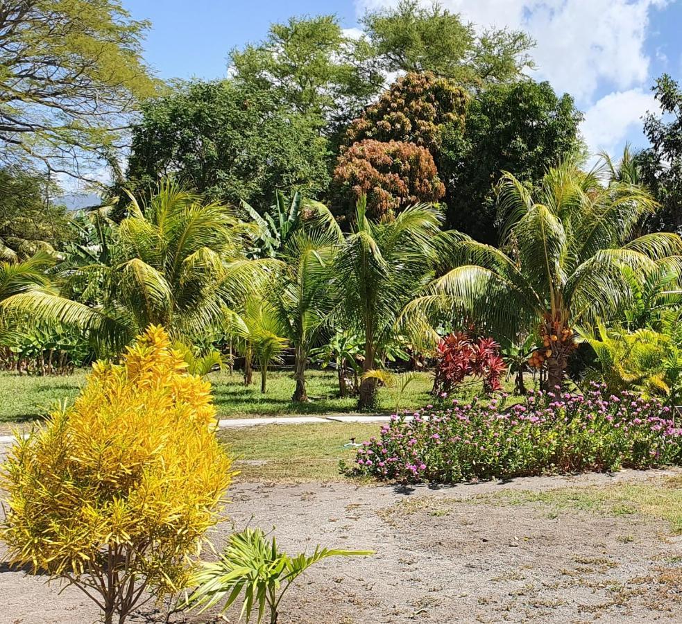 A Pousada Rancho Tranquillo Moyogalpa Exterior foto
